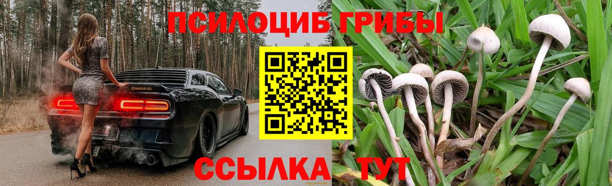 Псилоцибиновые грибы GOLDEN TEACHER  Вход с VPN  наркошоп  Семилуки 