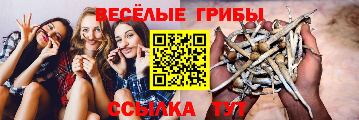 Псилоцибиновые грибы MAGIC MUSHROOMS Семилуки